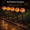 Solar Halloween Pumpkin Stake Lights for Outdoor Garden Decoration –