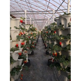 18 Inch Black Vertical Garden. use for Vegetable Strawberry herb Small Space Gardening.