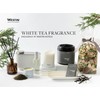 Westin White Tea Candle in a Tin - Hand-Poured, Soy