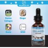 Balanced Pet Collagen for Dogs - Skin and Coat for