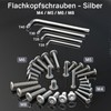 Pack of 40 Flat Head Screws with Torx and Wrench