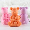 XIAOSHUI Bear Candle Mold Bear Silicone Candle Molds Bear Resin