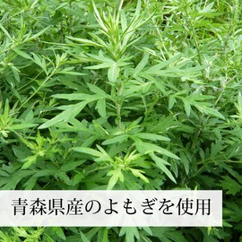 Natural Health Company Wormwood Powder, 3.5 oz (100 g) x 3 Pieces, Made in Japan, Pesticide-Free, Additive-Free, Wormwood Powder, Tea, Hori, Sprouts, Supplement