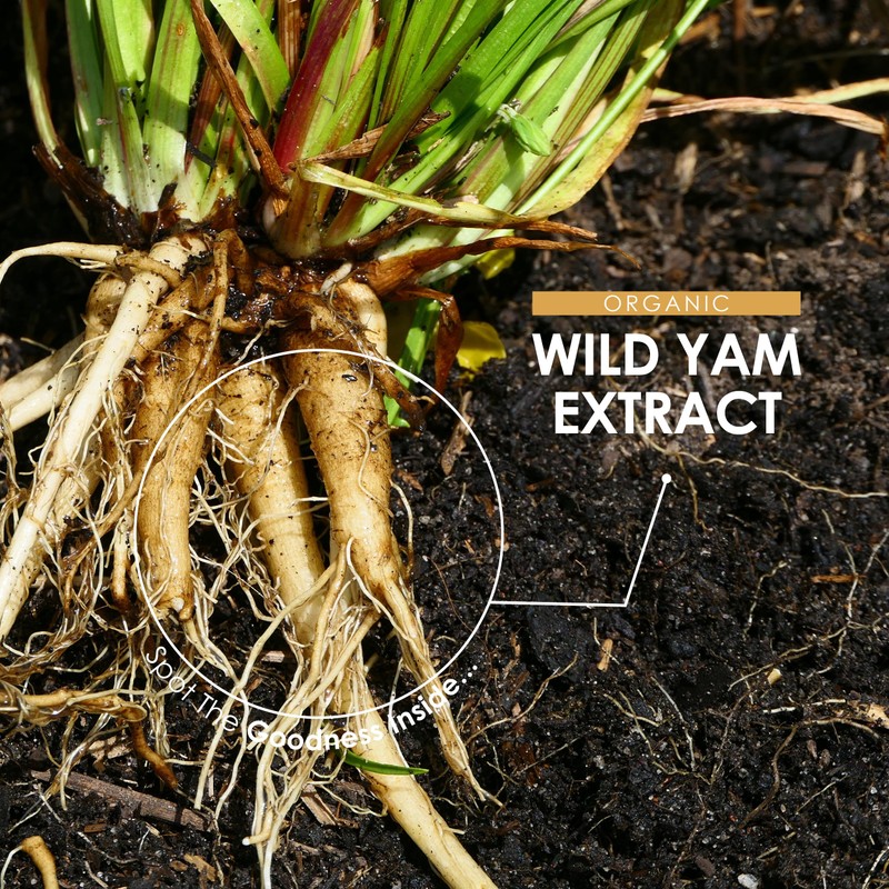 Organic Wild Yam Extract 5000mg - High Strength 10:1 Dioscorea