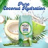 MICOCO Coconut Water, No Added Sugar, 16.9 Fl Oz (Pack