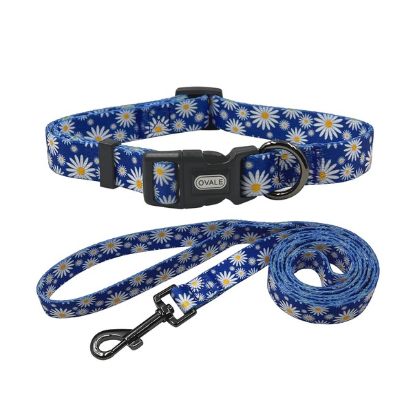 Ovale Dog Collar and Leash Combo Set, Daisy Floral Pattern,