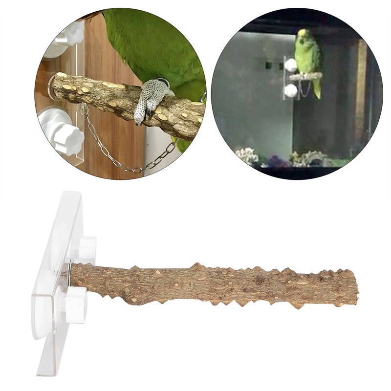 25CM Parrots Outdoor Portable Wood Standing Rod Pet Bird Shower