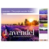 Lavender - The purple miracle flower (Monthly Wall Calendar 2025