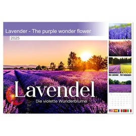 Lavender - The purple miracle flower (Monthly Wall Calendar 2025 16.5" x 23.4" (open)), CALVENDO 14 Month Calendar