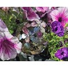 Jürgen Bocker Gartenambiente Decorative Ball Flower Stainless Steel Matt Brushed