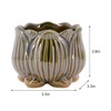Segreto Creative Succulent Plant Pots Ceramic Planter