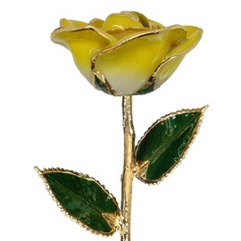 24k Gold Rose - Real Rose Dipped in Gold (2-Tone Yellow)