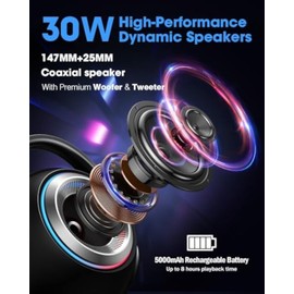 Bluetooth Speaker with 2 Wireless Microphones Portable Karaoke Machine