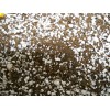 Unbranded Orchid Organic Sphagnum Peat Moss & Perlite 50/50 -