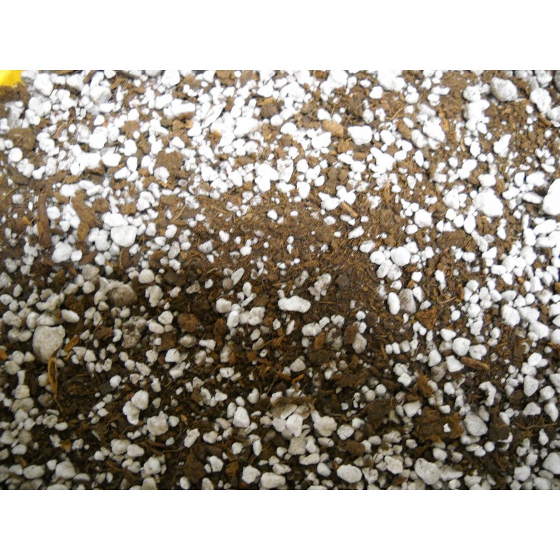 Unbranded Orchid Organic Sphagnum Peat Moss & Perlite 50/50 -