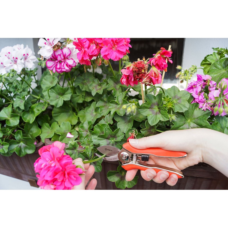 Connex Mini Pruning Shears, FLOR70367