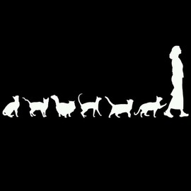 White The Latest Cat Lady Decor Car Auto Truck Window Decals Self-Adhesive Vehicle Sticker, Bumper Stickers, Decals and Magnets