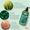 Difeel Elevated Rosemary Mint Shampoo with Biotin 12 oz. -