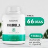 Alga Chlorella Orgánica de Pared Celular Rota | 200 Cápsulas