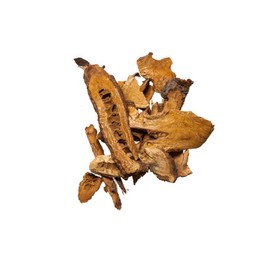 Plum Dragon Hu Zhang | Japanese Knotweed - 1lb