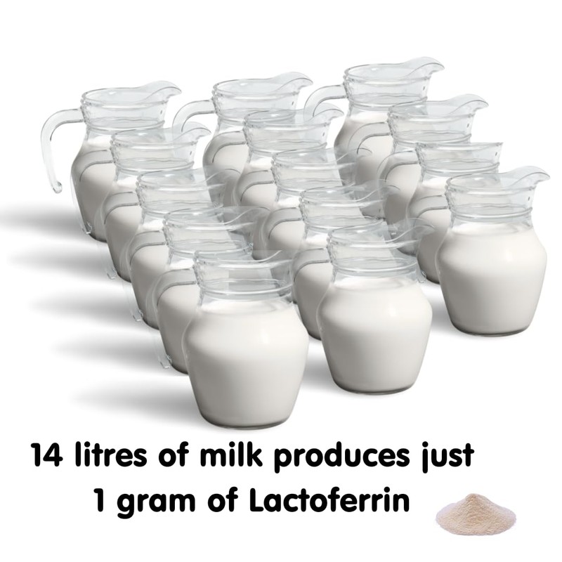 Beta IMMUNE Lactoferrin A2 extra