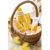 WELEDA Calendra Baby Wash & Shampoo, 6.8 fl oz (200