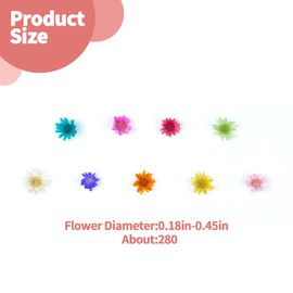 280 PCS Mini Dried Flowers for Resin, Small Dried Flowers for Crafts, Mini Dried Flowers Bulk, for Resin Art, Jewelry, Candle Making, Soap Making and DIY Crafts
