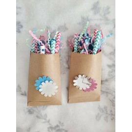 Bellacavy.com Pet Chew toys Guinea pig ferrets rats hedgehog birds"FRENCHI FRIES"