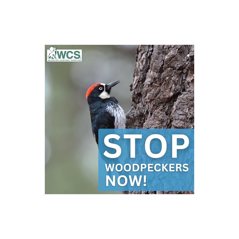 WCS Avian Spinner Bird Deterrent - Holographic Reflective Woodpecker Repellent