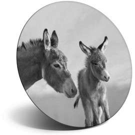 Destination Vinyl ltd Magnet for Refrigerator, Fridge BW - Cute Donkey and Baby Animal for Office, Cabinet and Whiteboard, Magnetic Stickers, 35580