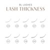 BL Lash Super Flat Flat Cap Deep Brown Eyelashes C