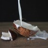 Bamboo Tree Latte di Cocco UHT 17-19% - 400 ml