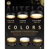AUTELO Flush Mount Ceiling Light, 14" Frosted Glass Shade Close