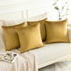 Sungeek Set of 4 Decorative Cushion Covers Solid Soft Velvet