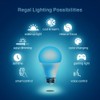 Regal LED A19 Light Bulb 5000K Daylight 800-Lumen, 9-Watt (60-Watt