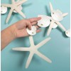 Decor365 White Finger Starfish Sea Shell Garland Ocean Coastal Nautical