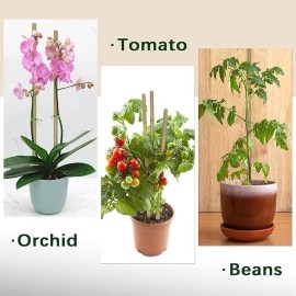 BOVITRO Plant Stakes,18 Inches Natural Garden Bamboo Sticks,BOVITRO 20Pcs Plant Support