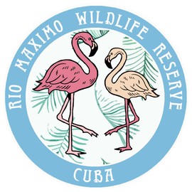 Blue Heron Flamingos Rio Maximo Wildlife Reserve Car Truck Window Bumper Sticker Decal - Columbia Blue