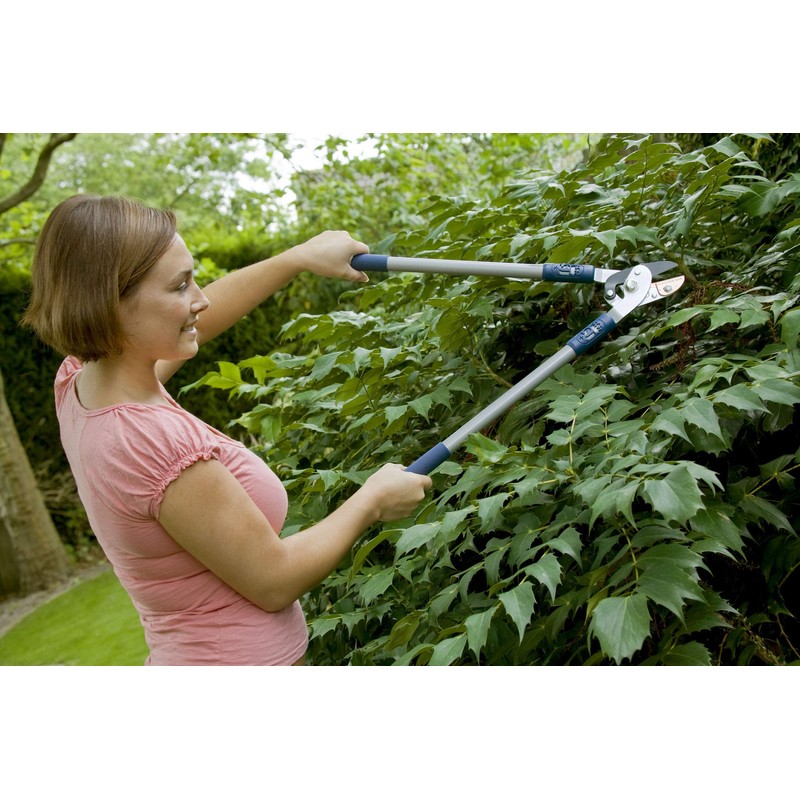 Spear & Jackson 4826RSA Razorsharp Active Anvil Lopper, Multicoloured