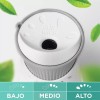Air Wick Aromatizante Eléctrico Airwick Aceite Magnolia Cherry Aparato Y
