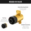 R50200 Brass Body Spray Rough-in Valve for D Body Spray