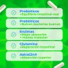Amarte Labs Probióticos Enzimas Digestivas Salud Intestinal