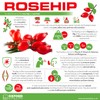 Rosehip Tablets | 2000mg Supplement for Immune System Support, Antioxidant