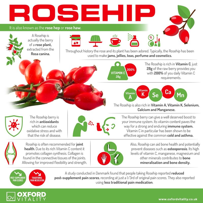 Rosehip Tablets | 2000mg Supplement for Immune System Support, Antioxidant