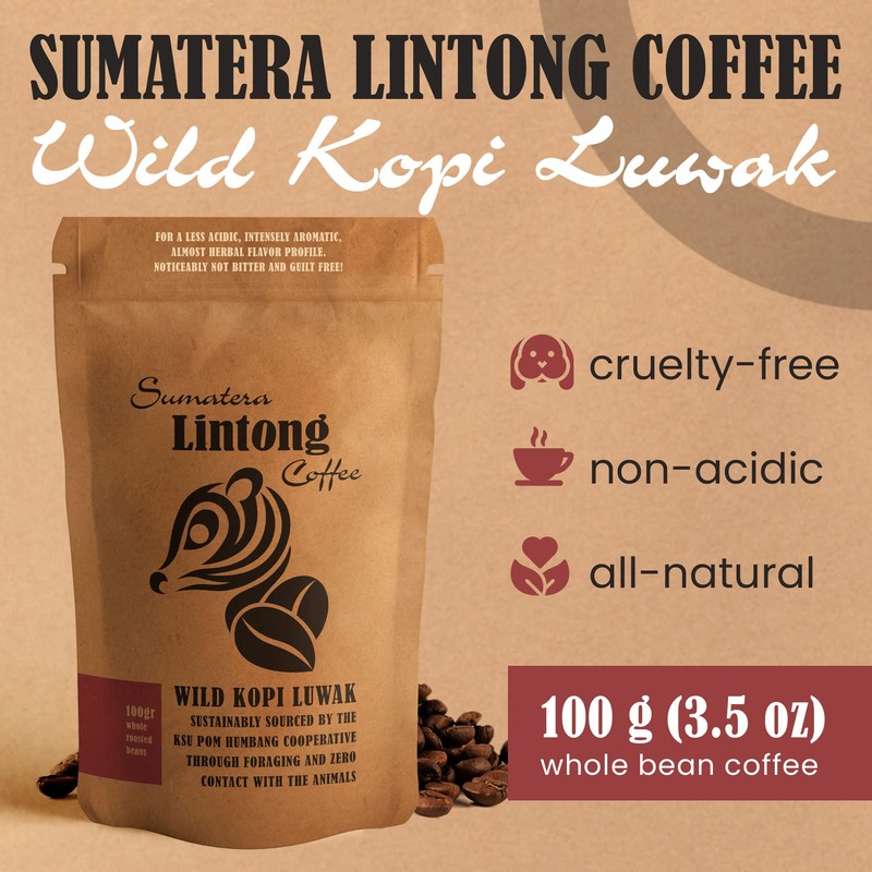 Wild Kopi Luwak, the World’s Most Exclusive Coffee, Sustainably Sourced