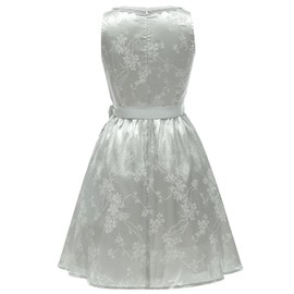 EvoEch Dirndl Women's Oktoberfest Women's Outfit Traditional Costumes for Women Bavarian Carnival Style, Green