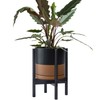 D'vine Dev Ceramic Planter with Ebony Stand - 10 Inch