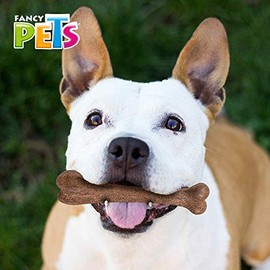 Fancy Pets Juguete Hueso para Morder con Fibra de Bambú Sabor Tocino para Perro Tamaño Chico