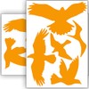 Bird Protection and Window Protection – 10 Stickers – Protection