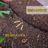 (TUISKU) Flower Bed Enclosure Grass Root Stopper Soil Hold Height